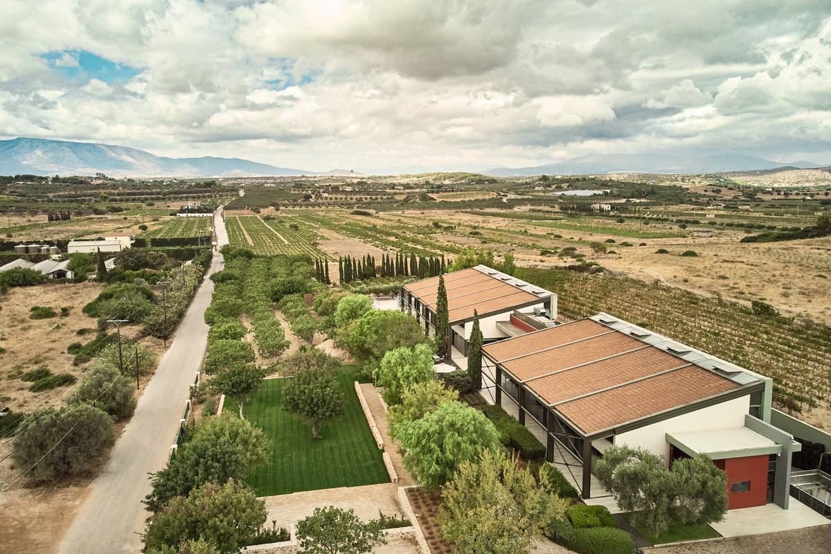 Event - Header Image - EY & Backbase Greece wine tasting  - EN