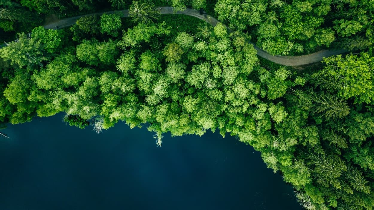 Blog Header Image Go Green EN